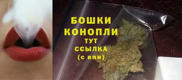 сатива Липки