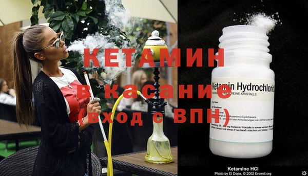 сатива Липки