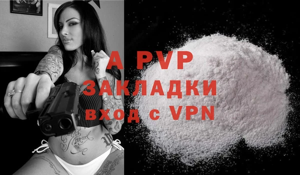 сатива Липки