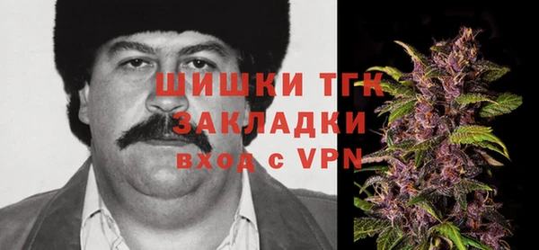 сатива Липки