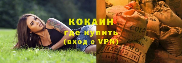 сатива Липки