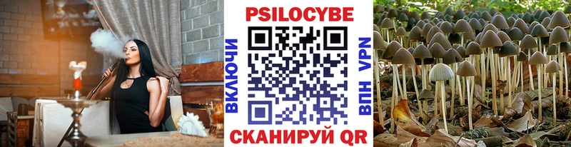 Купить где  Тверь  Псилоцибиновые грибы мухоморы 